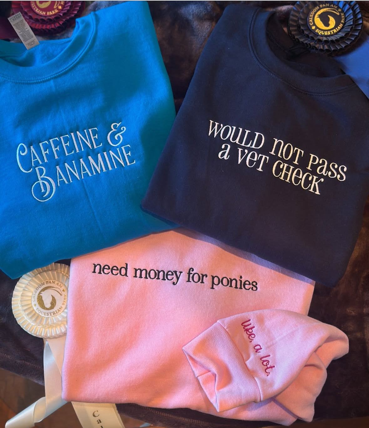 EQ Would not pass a vet check embroidered hoodie sweatshirt