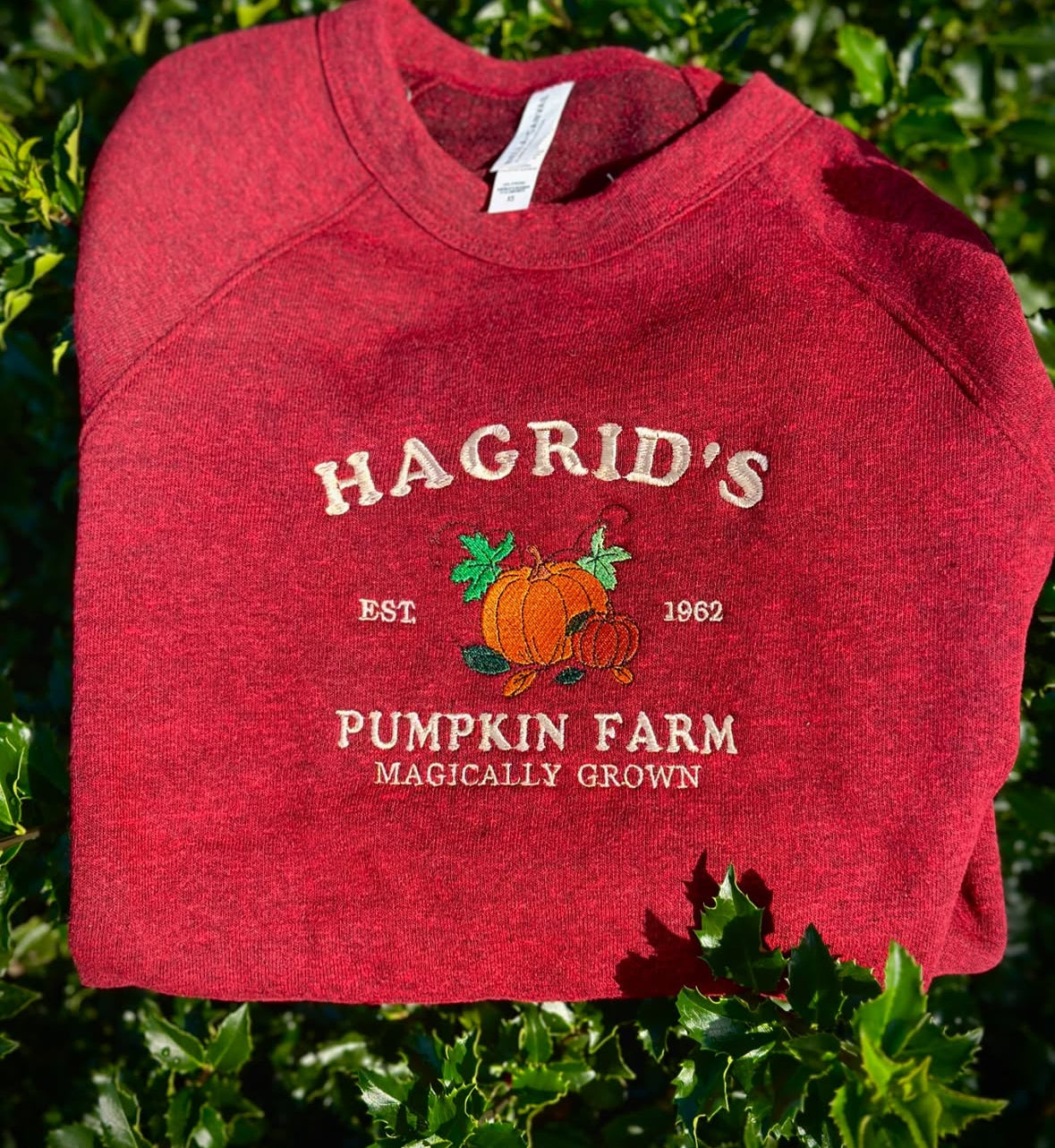 HP Hagrid's Pumpkin Farm